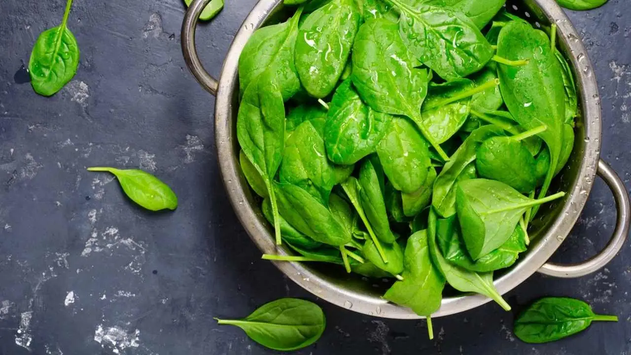 Insalata di spinaci e semi: l’abbinamento consigliato dai nutrizionisti per chi ha la glicemia alta Insalata di spinaci e semi: l’abbinamento consigliato dai nutrizionisti per chi ha la glicemia alta