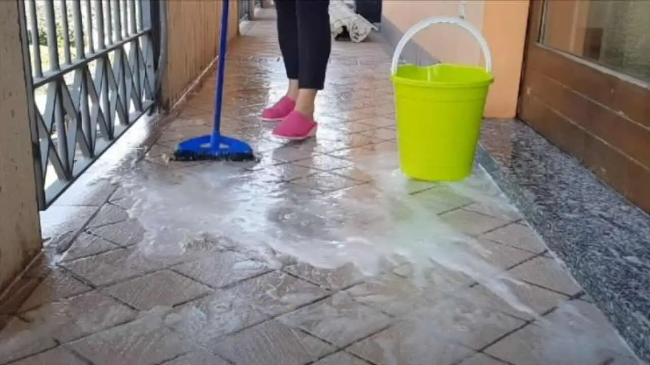 Pulire le fughe del vialetto con acqua bollente: funziona davvero? Prova subito Pulire le fughe del vialetto con acqua bollente: funziona davvero? Prova subito