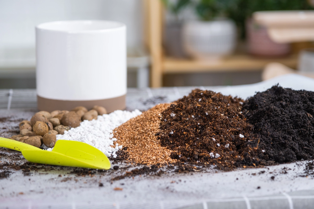 Come scegliere il tipo di concime per ortensie a seconda del terreno di casa Come scegliere il tipo di concime per ortensie a seconda del terreno di casa