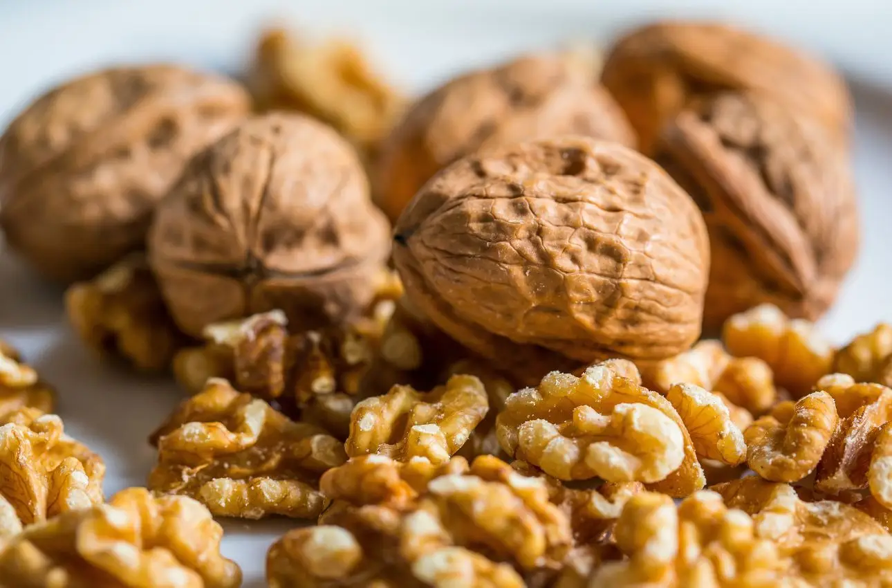Colazione ricca di fibre: i benefici delle noci per valori glicemici stabili ogni giorno Colazione ricca di fibre: i benefici delle noci per valori glicemici stabili ogni giorno